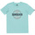 Vêtements Garçon DéSOUVENIR / T-shirts sans manche Quiksilver Circle Up Bleu