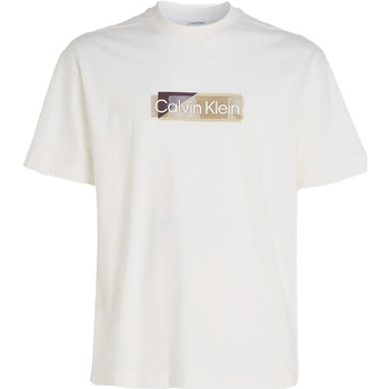 Vêtements Homme T-shirts & Polos Calvin Klein Jeans Layered Gel Logo T-S Blanc