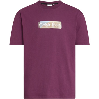 Vêtements Homme T-shirts & Polos Calvin Klein Jeans Layered Gel Logo T-Shirt Violet