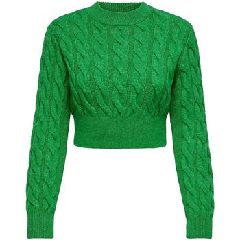 Vêtements Femme Pulls Only 15311996 CARLA-ISALND GREEN Vert