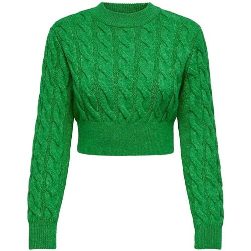 Vêtements Femme Pulls Only 15311996 CARLA-ISALND GREEN Vert