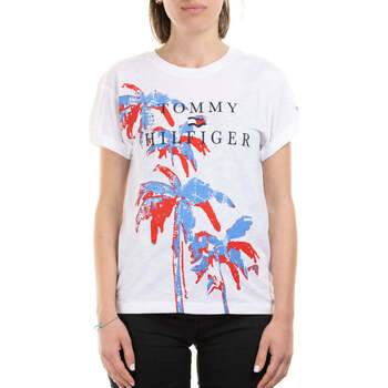 Vêtements Femme T-shirts & Polos Tommy Hilfiger  Multicolore