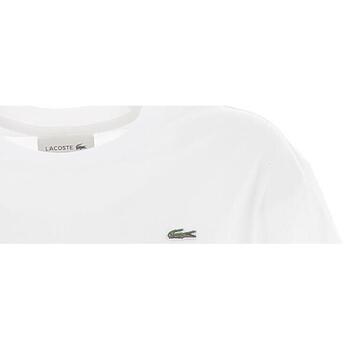 Vêtements Femme T-shirts manches courtes Lacoste Tee-shirt Blanc