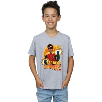 Vêtements Garçon T-shirts manches courtes Dc Comics Batman TV Series Holy Smokes Gris