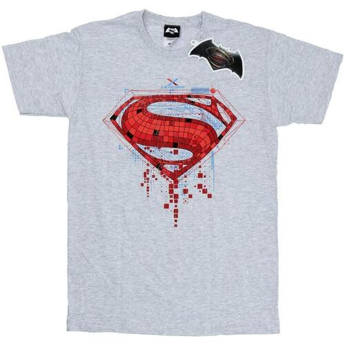 Vêtements Fille T-shirts manches longues Dc Comics Superman Geo Logo Gris