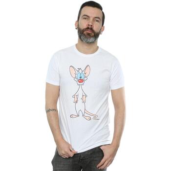 Vêtements Homme T-shirts manches longues Animaniacs Pinky Classic Pose Blanc