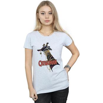 Vêtements Femme T-shirts manches longues Dc Comics Batman Catwoman Friday Gris