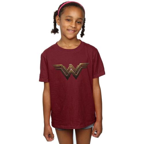 Vêtements Fille T-shirts manches longues Dc Comics Wonder Woman Logo Multicolore