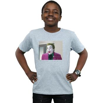 Vêtements Garçon T-shirts manches courtes Dc Comics Batman TV Series Joker Photograph Gris