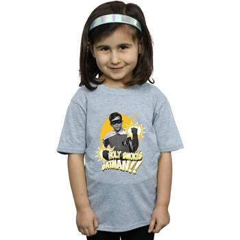 Vêtements Fille T-shirts manches longues Dc Comics Batman TV Series Robin Holy Smokes Gris
