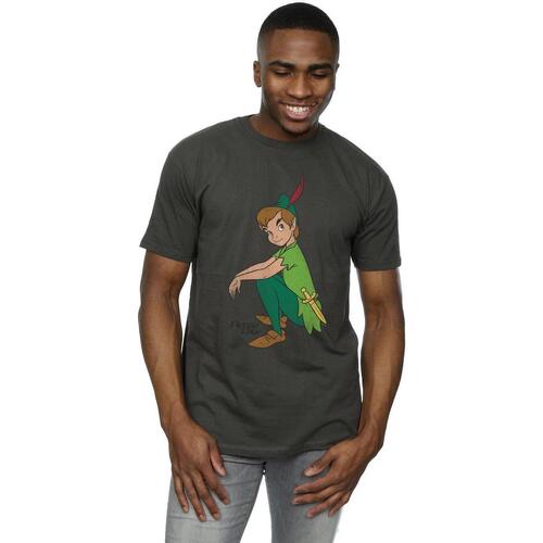 Vêtements Homme T-shirts manches longues Peter Pan Classic Gris
