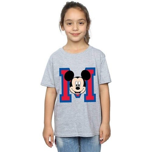 Vêtements Fille T-shirts manches longues Disney M Gris