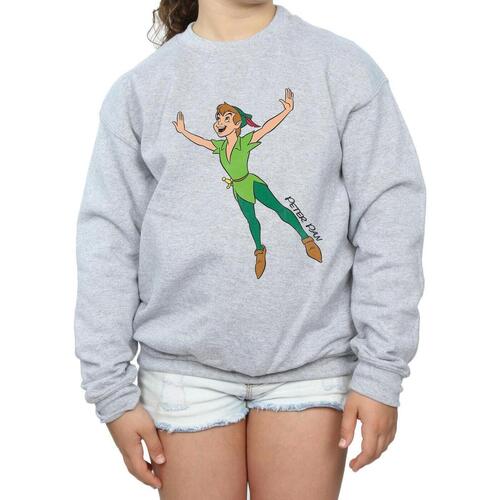 Vêtements Fille Sweats Peter Pan Classic Gris