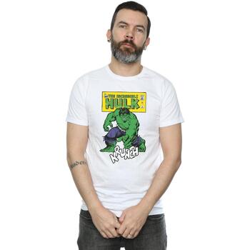 Vêtements Homme T-shirts manches longues Hulk Krunch Blanc