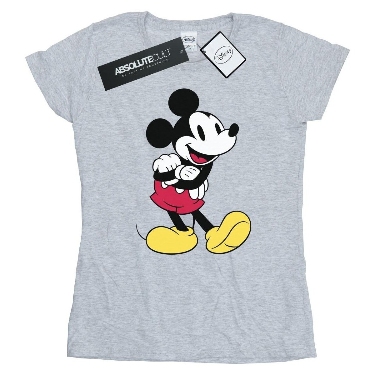 Vêtements Femme T-shirts manches longues Disney Classic Gris