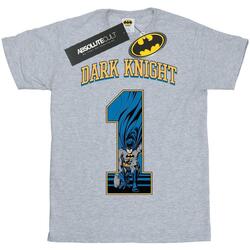 Vêtements Homme T-shirts manches longues Dc Comics Batman Football Dark Knight Gris