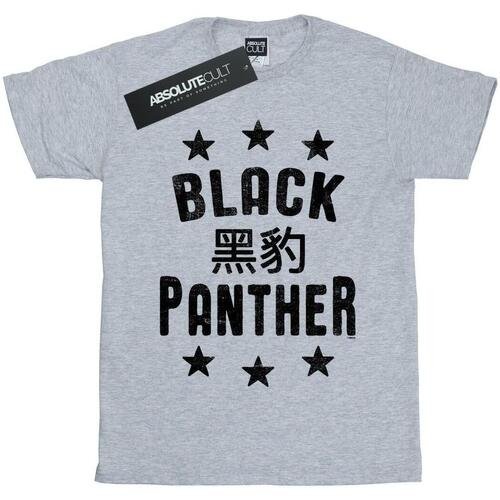 Vêtements Femme T-shirts manches longues Marvel Black Panther Legends Gris