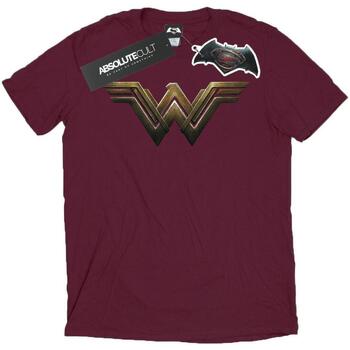 Vêtements Femme T-shirts manches longues Dc Comics Wonder Woman Logo Multicolore