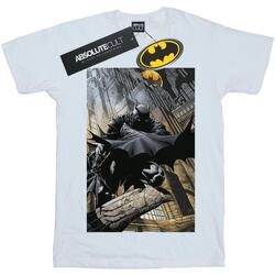 Vêtements Homme T-shirts manches longues Dc Comics Batman Night Gotham City Blanc