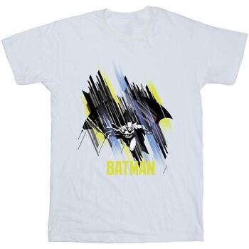 Vêtements Homme T-shirts manches longues Dc Comics Batman Flying Batman Blanc