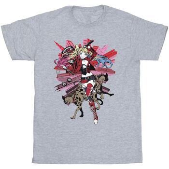 Vêtements Homme T-shirts manches longues Dc Comics Harley Quinn Hyenas Gris