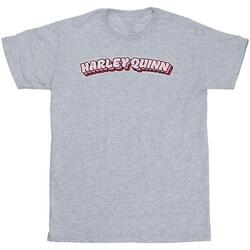 Vêtements Homme T-shirts manches longues Dc Comics Batman Harley Quinn Logo Gris