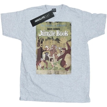 Vêtements Homme T-shirts manches longues Jungle Book BI1523 Gris