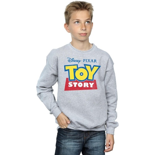 Vêtements Garçon Sweats Toy Story BI958 Gris