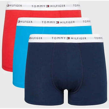 Sous-vêtements Homme Caleçons Tommy Hilfiger Lot de 3 boxers  rouge et bleu en coton bio Bleu