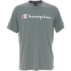 Vêtements Homme T-shirts manches courtes Champion Crewneck t-shirt Kaki