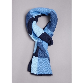 Accessoires textile Homme Echarpes / Etoles / Foulards Jerem ECHARPE EN COTON MÉLANGÉ Bleu
