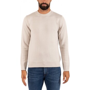 Vêtements Homme Dream in Green Alpha PULL HOMME Gris