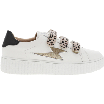 Chaussures Femme Baskets mode Vanessa Wu Baskets basses cuir Multicolore