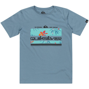 Vêtements Garçon Débardeurs / T-shirts sans manche Quiksilver Tropical Rainbow Bleu