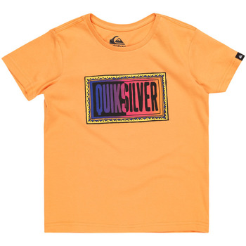 Vêtements Garçon Débardeurs / T-shirts camouflage sans manche Quiksilver Day Tripper Orange