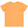Vêtements Garçon Lipsy Logo Large Hoodie Day Tripper Orange