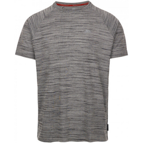 Vêtements Homme Polar Basketball T-Shirt Trespass Leecana Gris