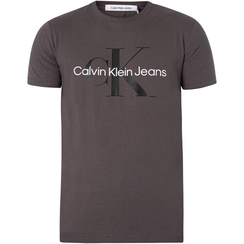 Vêtements Homme T-shirts manches courtes Calvin coin Klein Jeans T-shirt monogramme saisonnier Gris