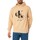 Vêtements Homme Sweats Calvin Klein Jeans Sweat à capuche avec logo miroir Beige