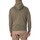 Vêtements Homme Sweats Calvin Klein Jeans Monologo Sweat à capuche épais Vert