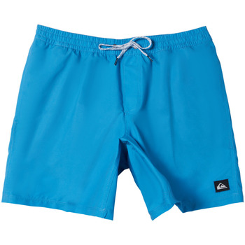 Vêtements Garçon Maillots / Swoosh Shorts de bain Quiksilver Everyday Solid Volley Bleu