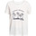 Vêtements Femme Débardeurs / T-shirts sans manche Roxy Chasing The Wave Blanc