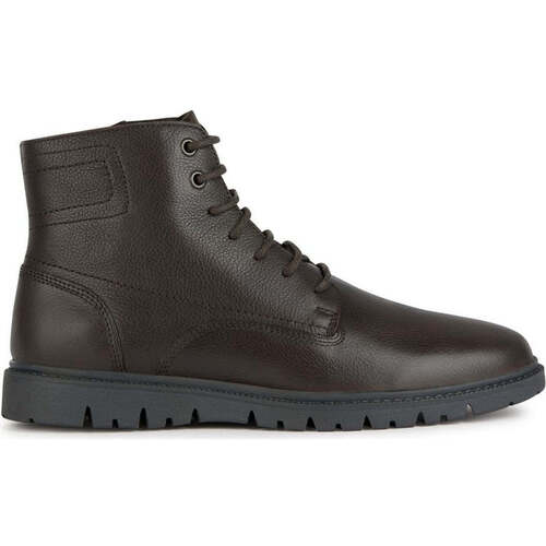 Chaussures Homme Boots Geox ghiacciaio booties Marron