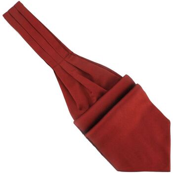 Vêtements Homme Cravates et accessoires Tony & Paul Lavallière à nouer Ascot Rouge