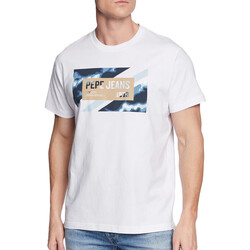 Vêtements Homme T-shirts & Polos Pepe jeans PM508685 Blanc