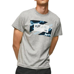 Vêtements Homme T-shirts & Polos Pepe jeans PM508685 Gris