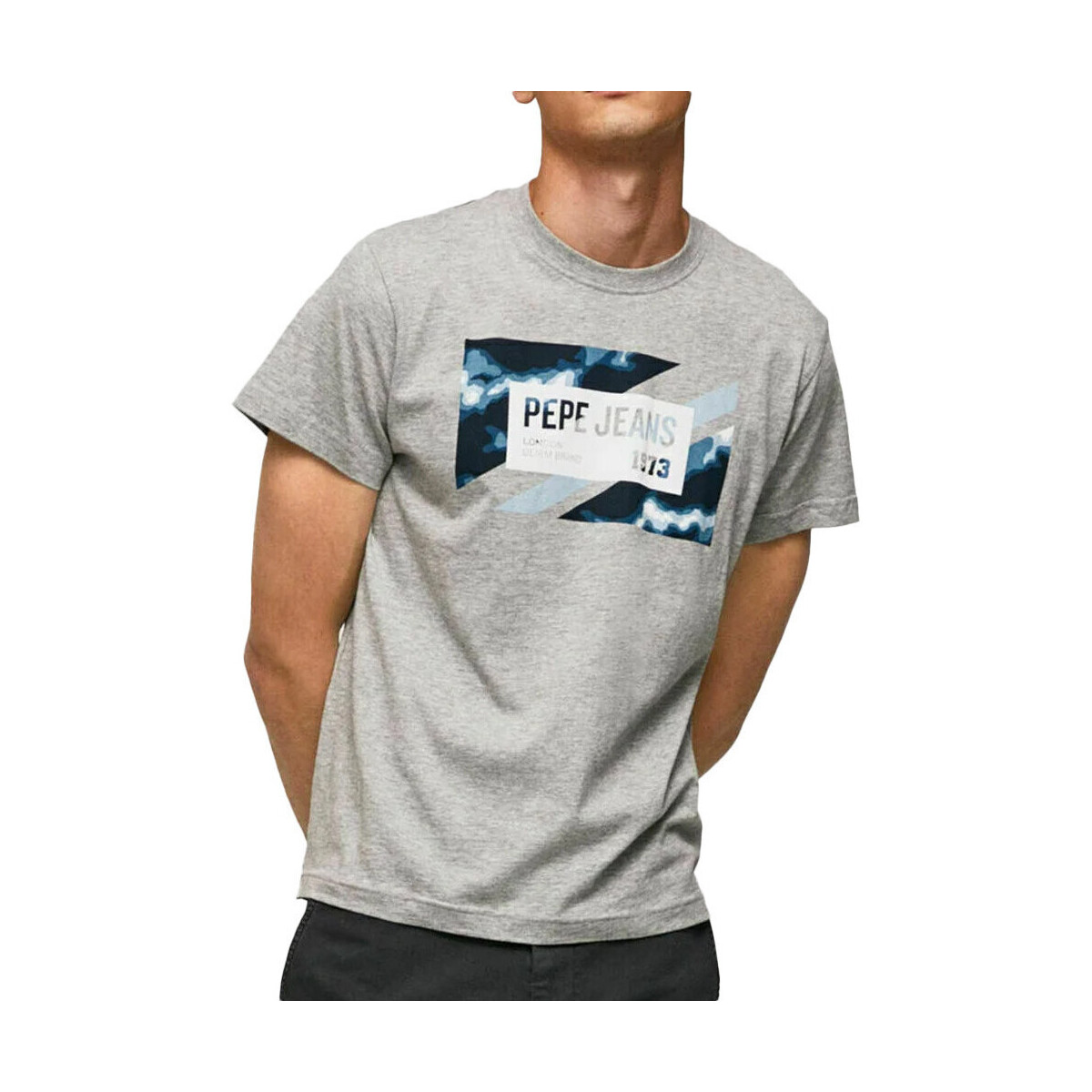 Vêtements Homme T-shirts & Polos Pepe jeans PM508685 Gris
