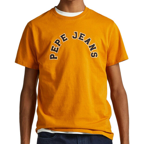 Vêtements Homme T-shirts & Polos Pepe jeans PM509124 Jaune