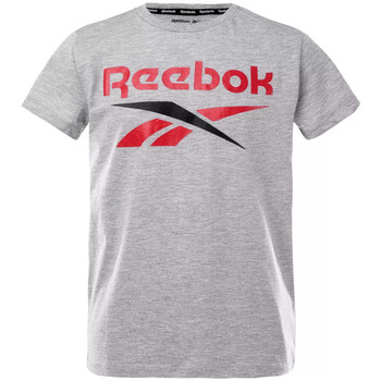 Vêtements Garçon T-shirts blacks courtes Reebok Sport H89462RBI Gris