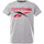 Vêtements Garçon T-shirts manches courtes Reebok Sport H89462RBI Gris